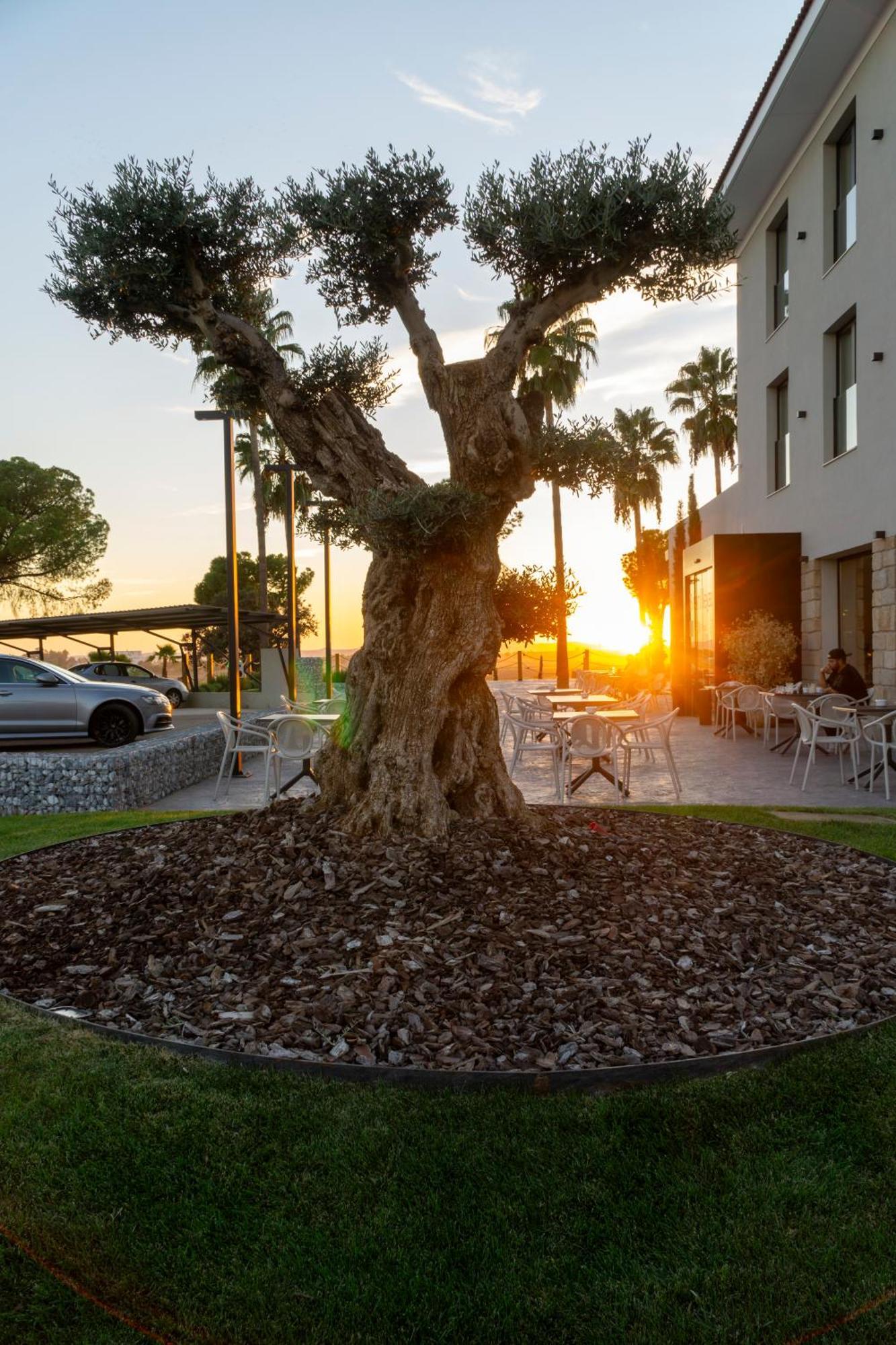 Hotel Rural Finca La Desa Miajadas エクステリア 写真